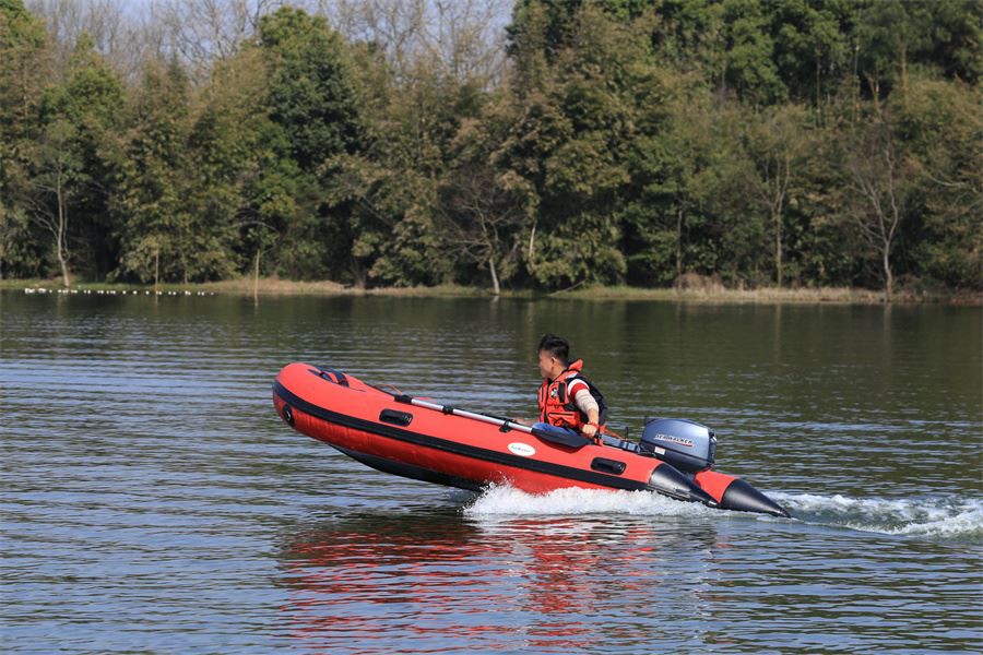 بیرنگ ڈویلپمنٹ کی ابتدا